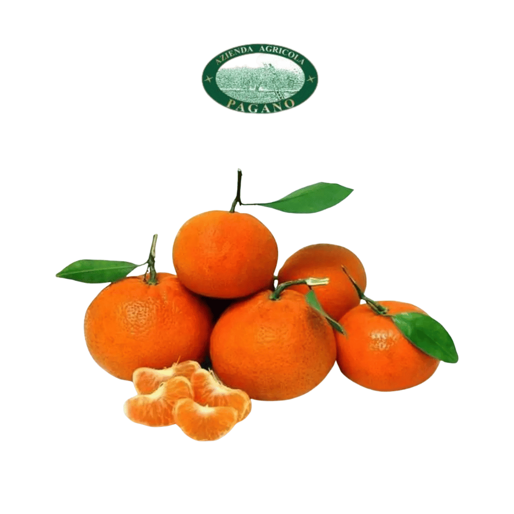Clementine