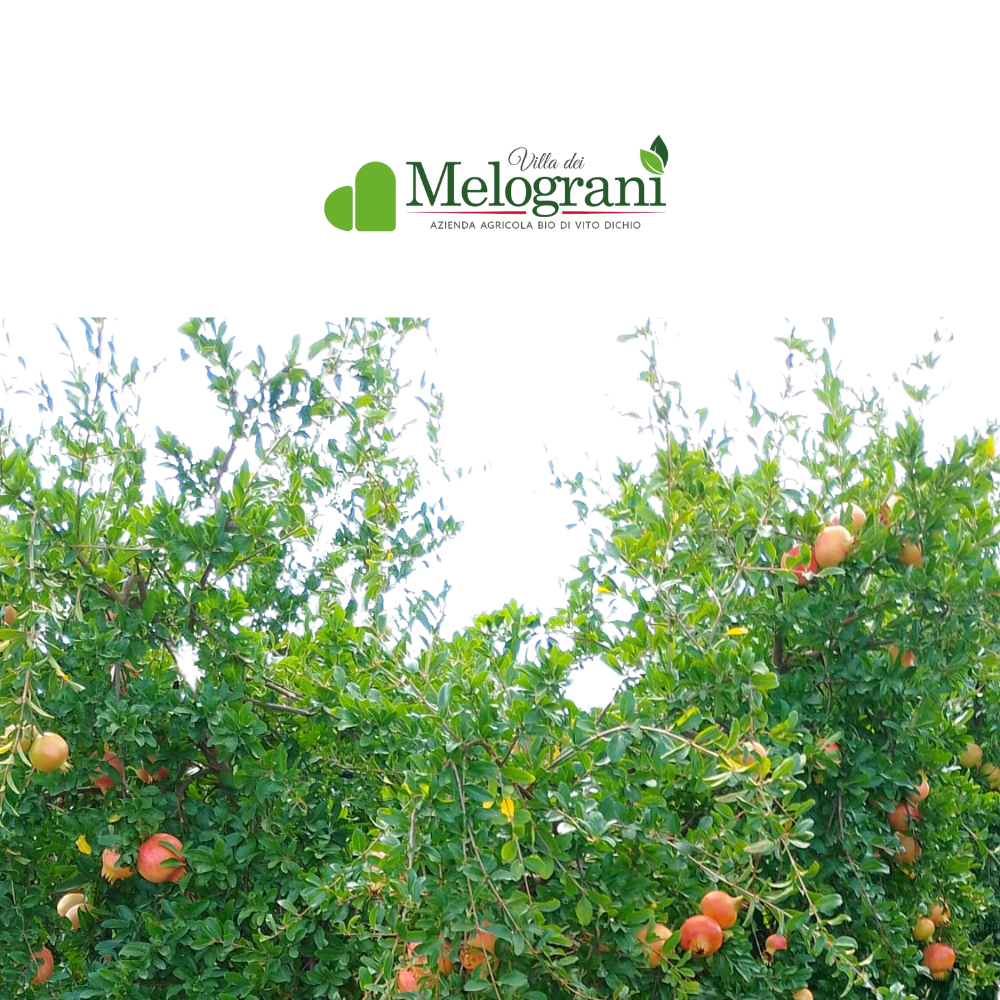 Melagrana