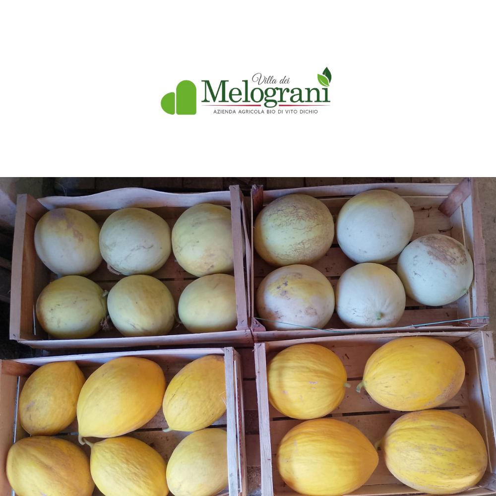 Melone