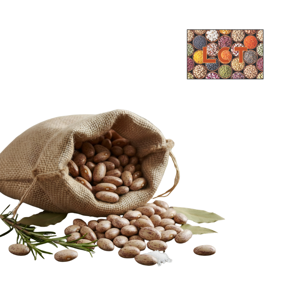 Fagioli Borlotti- LCT