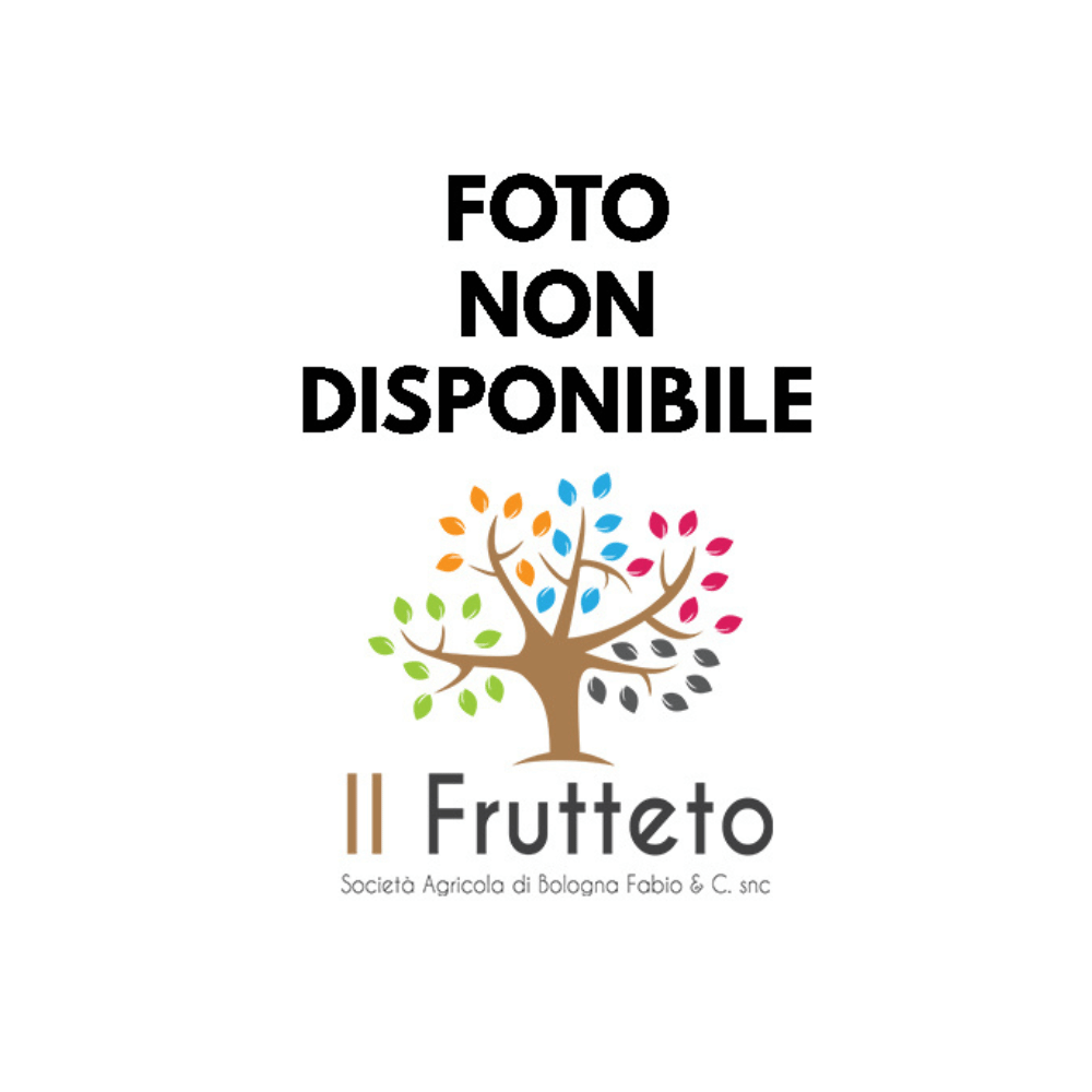 Confettura di Melacotogna - Il Frutteto