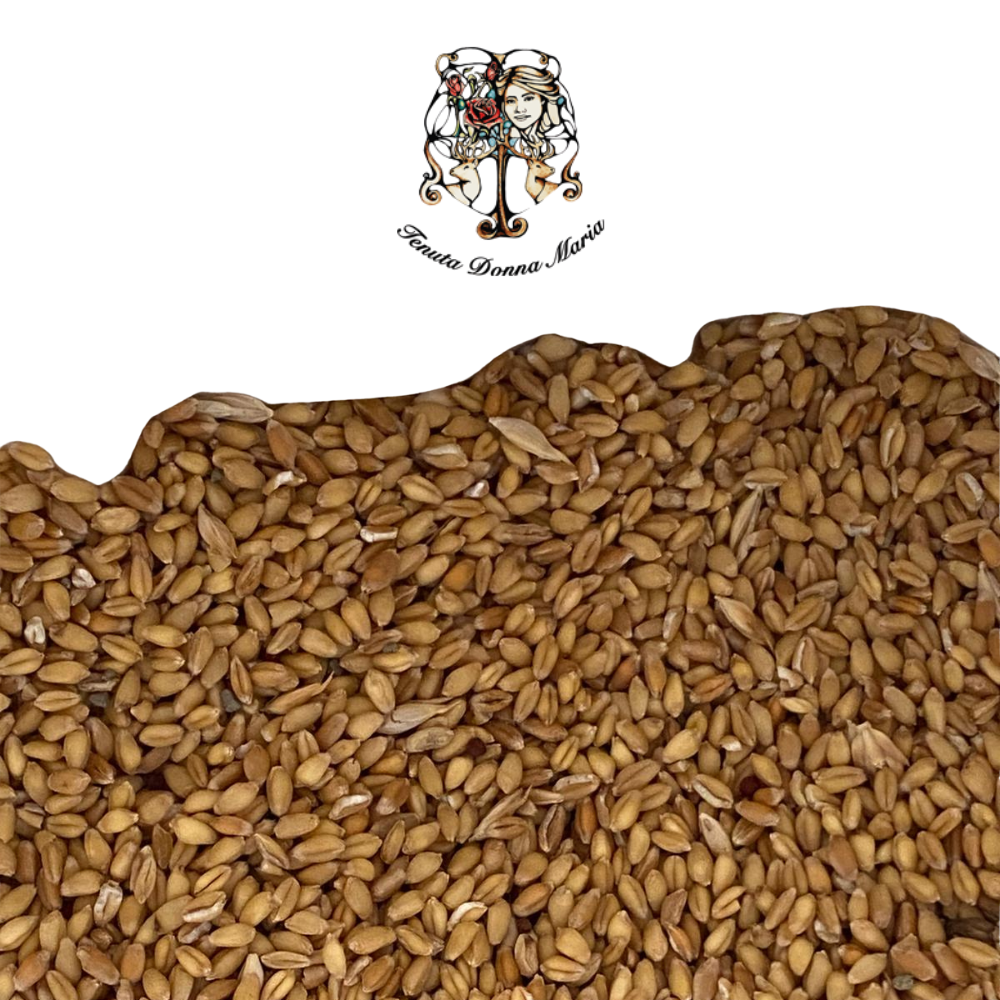 Grano Carosella